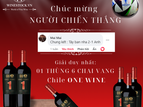 [KẾT QUẢ] DỰ ĐOÁN EURO 2024 CÙNG WINESTOCK.VN – CÓ ONE WINE TẶNG NGAY NHÀ VÔ ĐỊCH