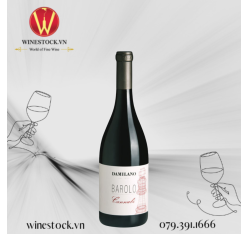Rượu vang Damilano Barolo Cannubi 