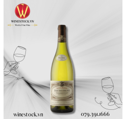 Rượu vang Chardonnay Bourgogne Domaine Seguin-Manuel 