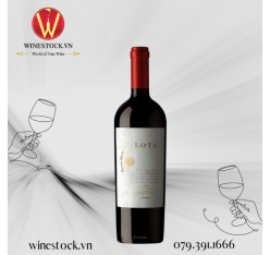  Rượu vang Chile cao cấp Cousino Macul Lota