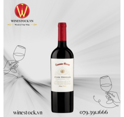 Rượu vang Cousino Macul Finis Terrae Red Blend 