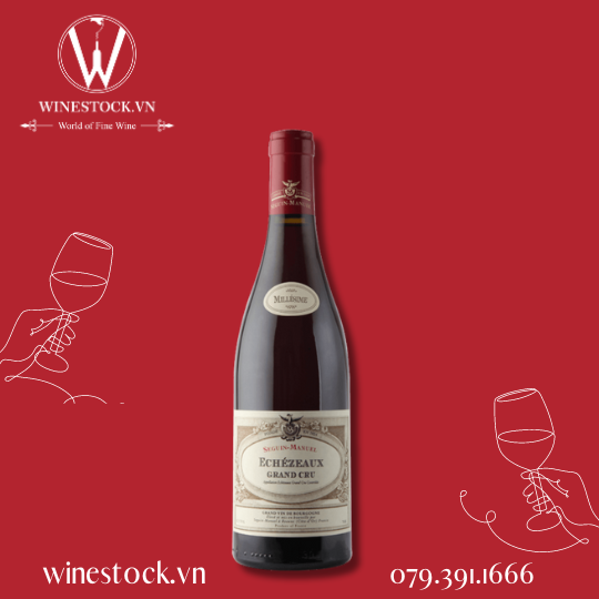 Rượu vang Echezeaux Grand Cru Domaine Seguin-Manuel 