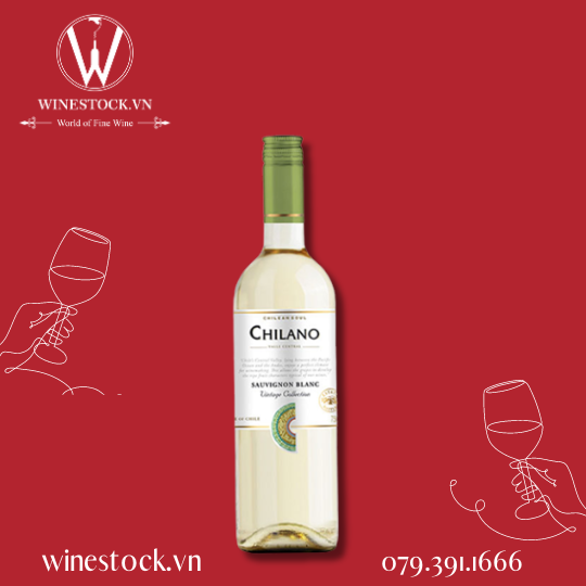 Rượu vang Chilano Sauvignon Blanc 