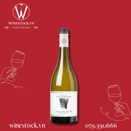 Rượu vang Villa Blanche Sauvignon Blanc 