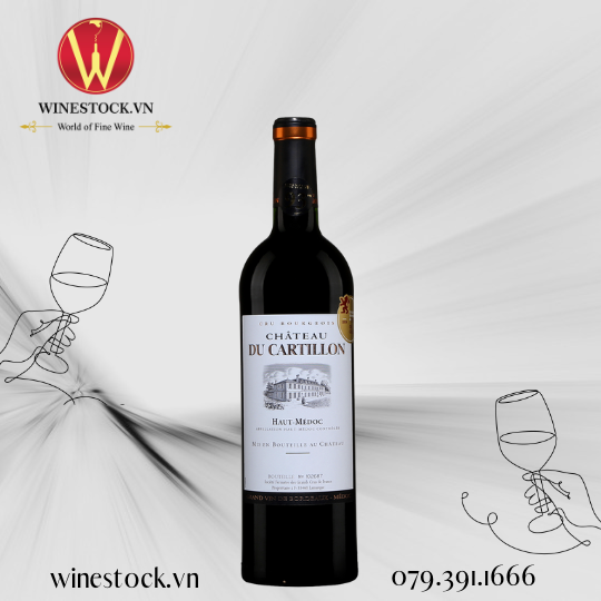 Rượu vang CHATEAU DU CARTILLON