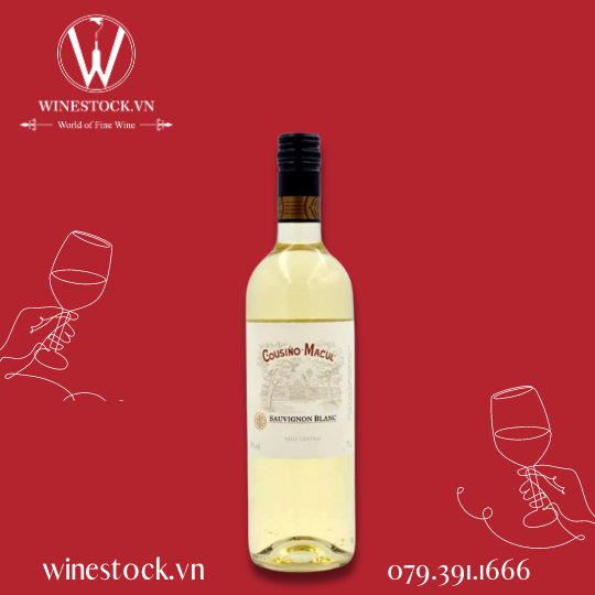 Rượu vang Cousino Macul Sauvignon Blanc