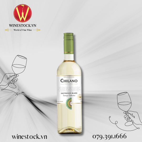 Rượu vang Chilano Sauvignon Blanc 