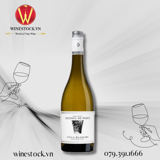 Rượu vang Villa Blanche Picpoul Pinet 