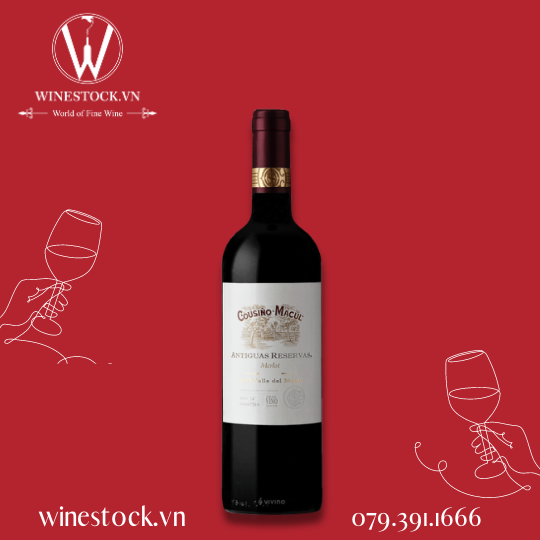 Rượu vang Cousino Macul Antiguas Reservas Merlot