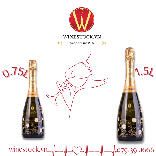 Rượu vang Piemonte MARENGO DOC - 0.75L