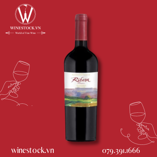 Rượu vang Ribera Reserva Merlot