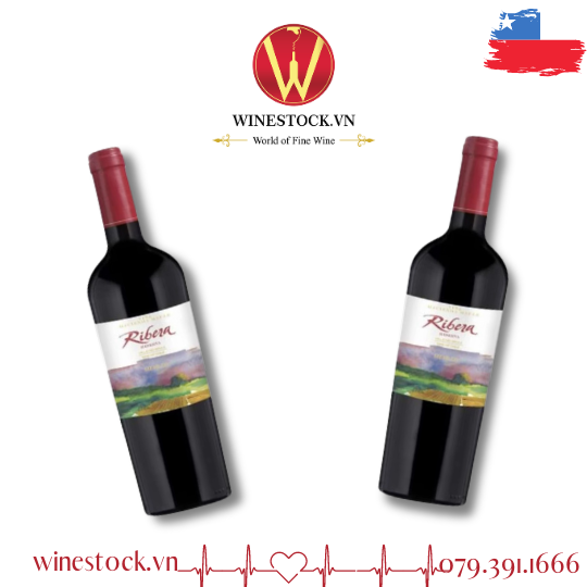 Rượu vang Ribera Reserva Merlot